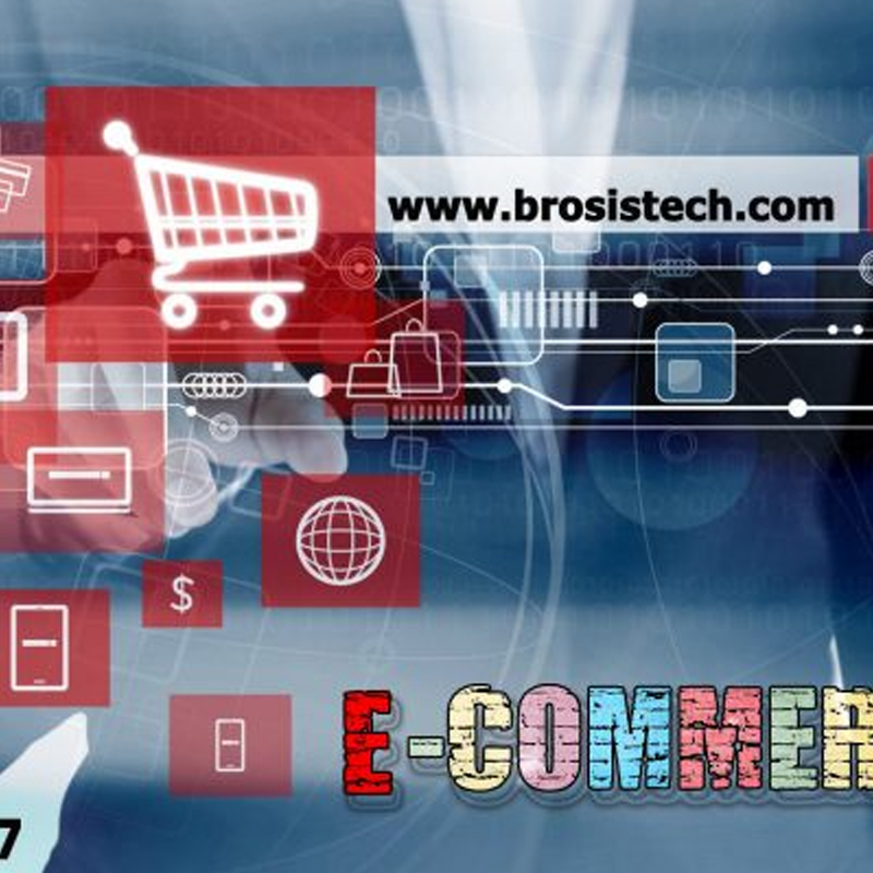 E-commerce Website Software that resides with you